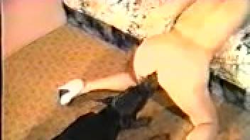Ebony canine vigorously penetrated an attractive female zoophile in doggy style position