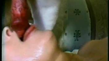 Teen girl being throat-fucked by a super aroused mutt
