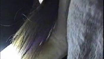 Late-night banging with a delicious filly's snatch, close-up