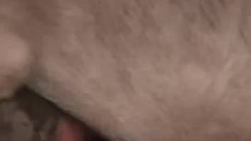 Pig screws a guy in the butt until it blows its load in his hole.