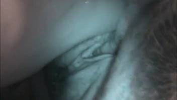Young woman unable to flee endures canine thrusting into her vagina