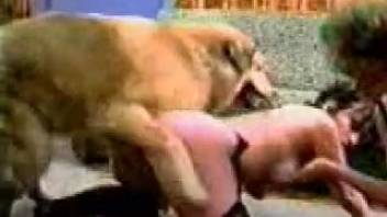Canine mounts pair of females in steamy sapphic webcam session
