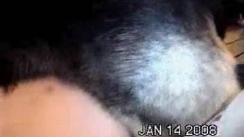 Amateur home videos of bestiality for a sexually aroused pair