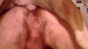 Man with hairy ass is getting anally fucked in doggy style pose