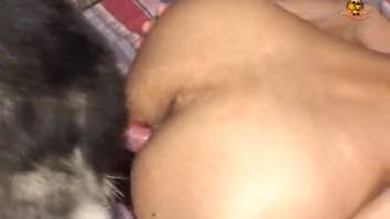 Naked Trans Woman Engaging in Domestic Bestiality with Her Dog