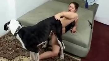 Sexy fit babe with snug pussy screwed by her attractive canine