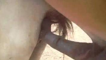 Huge horse cock makes guy to feel aroused as fuck