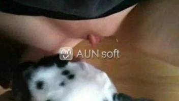 Juicy mature pussy getting licked by a sexy puppy