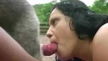 Brunette Latina eagerly blows a big-dicked dog outdoors