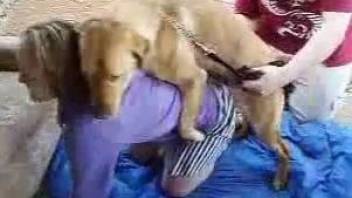 Assertive dog dominates a blonde's tight young slit