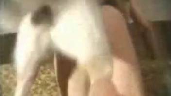 Tight amateur feels insane with the dog fucking her