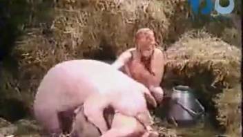 Pretty peasant watches how pig fucks farmer in doggystyle