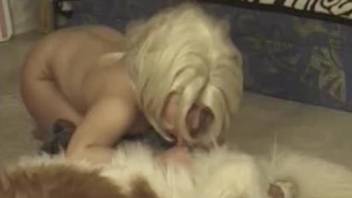 Blonde slut gives head to her furry dog