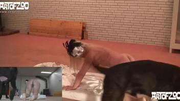 Blonde with a tight bod gets fucked by a black dog