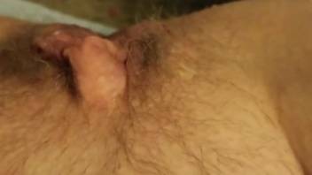 Hairy pussy getting licked by a dog in a POV vid