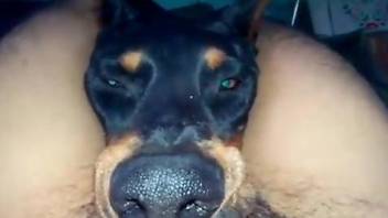 Kinky dog chokes on her master's massive boner