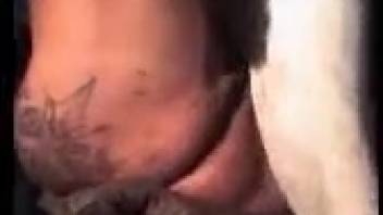 Vintage animal sex adult film featuring a dominant mature woman