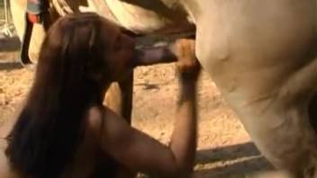 Wild outdoor bestiality video featuring a hot girl blowing a massive horse cock