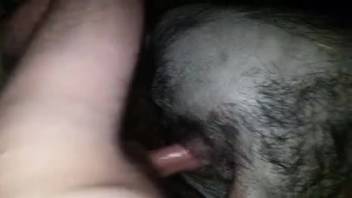 Guy fucks a beast's cunt from behind in a steamy clip