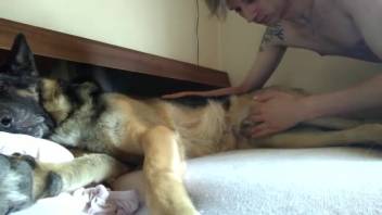 Homosexual man performing oral sex on a canine's tasty penis live on webcam