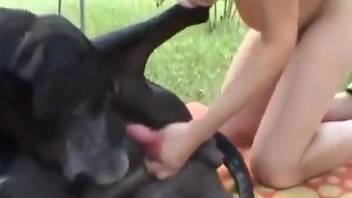 Dirty dog drives its dick in a pregnant chick's pussy