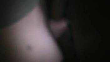 Guy fingers a female horse's vagina before screwing it hard