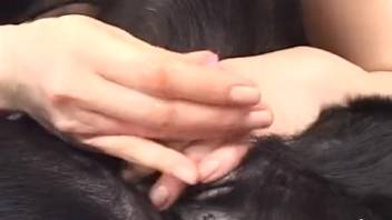 Japanese girl masturbates the dog's cock and gets screwed