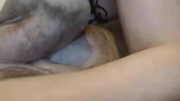 Tattooed vixen mounting a canine cock on a massive bed