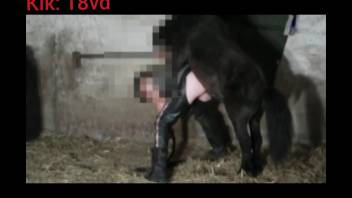 Leather-clad animal enthusiast being railed by a perverted horse