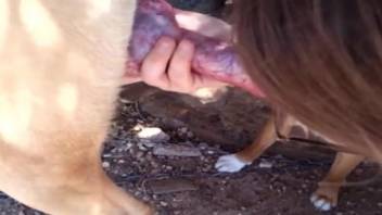 Mature zoophile blowing a sexy pooch outdoors
