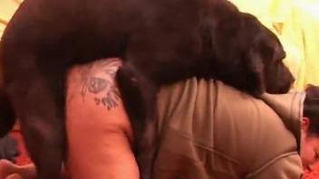 Meaty mommy with a hairy pussy fucked by a dog