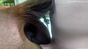 Guy with a stiff dick screwing a super hot female horse