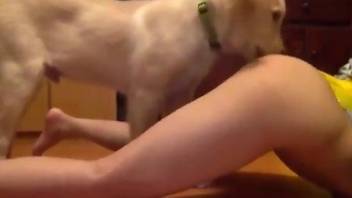 Skinny zoophile getting rimmed by an attentive dog