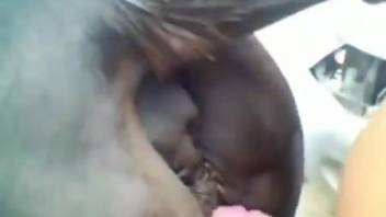 Dude with a hard cock dominates the mare's tight pussy