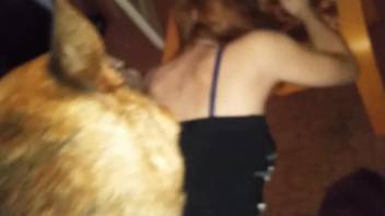 Amateur fuck session with a young wife and a kinky dog