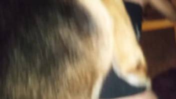 Homemade sex romp with a youthful spouse and a naughty canine