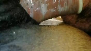 Guy thrusts his erect cock deep into this mare's steamy cunt