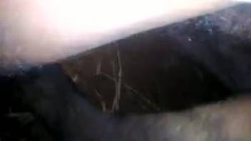 Massive black cock thrusting into the narrow opening of a aroused beast