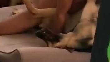 Hot guy fucking a slutty pooch in a missionary position