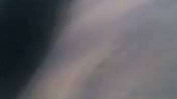 That stallion's massive cock drives this guy wild with desire for it