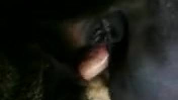 Guy thrusts his erect cock deeply into this woman's steaming pussy