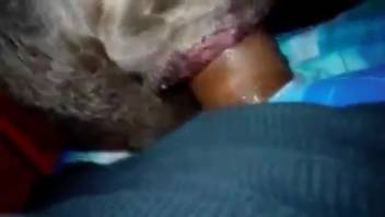 Guy's stiff dick engulfed by a beast's hungry opening
