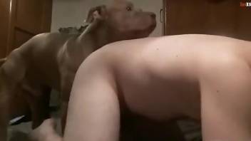 Zoophile arching his back while getting fucked