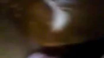 Guy screwing a female horse's steamy pussy in an animal sex clip