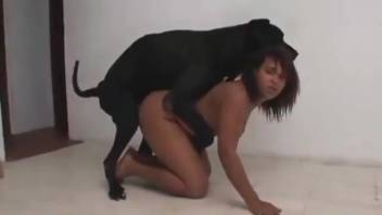 Novice girl lounges nude as the canine chokes her and penetrates her