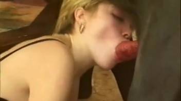 Golden-haired stunner deepthroats a hot canine