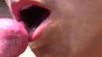 Young slender guy with a firm ass being pounded by a dog