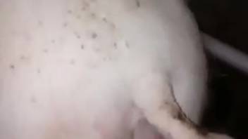 Stunning sex scene featuring men obsessed with bestiality