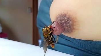 Busty woman involves bees into her sexual solo act