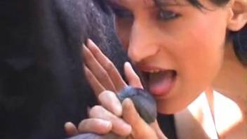 High-quality homemade clips featuring an aroused spouse performing oral on a massive equine penis